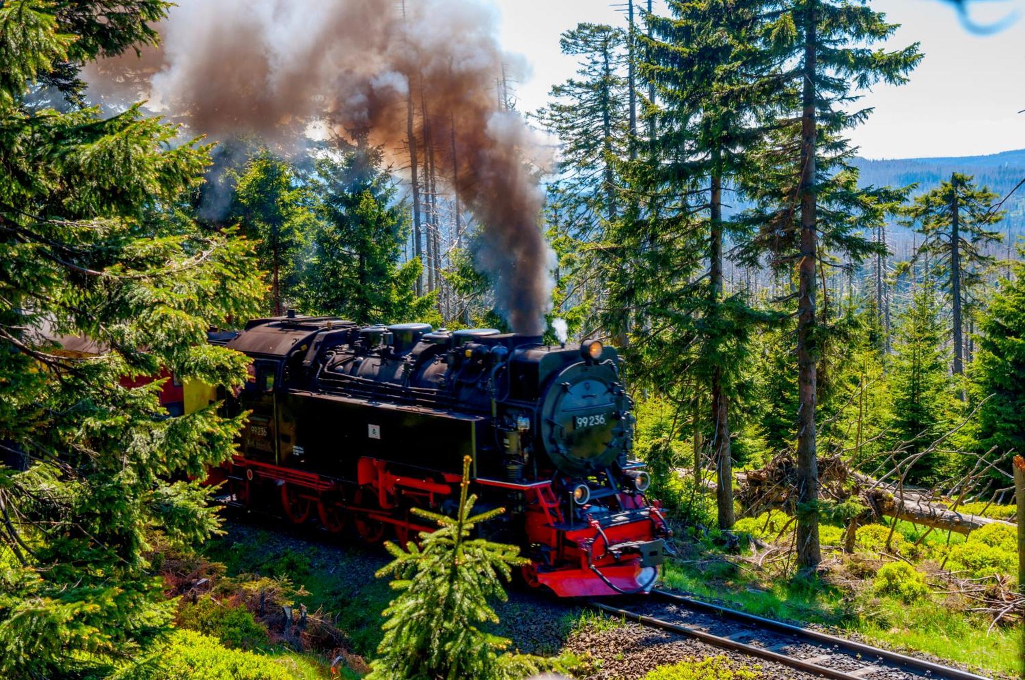 Regiohotel Harzresidenz Wernigerode Kültér fotó